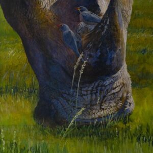 Landscape, White Rhino
