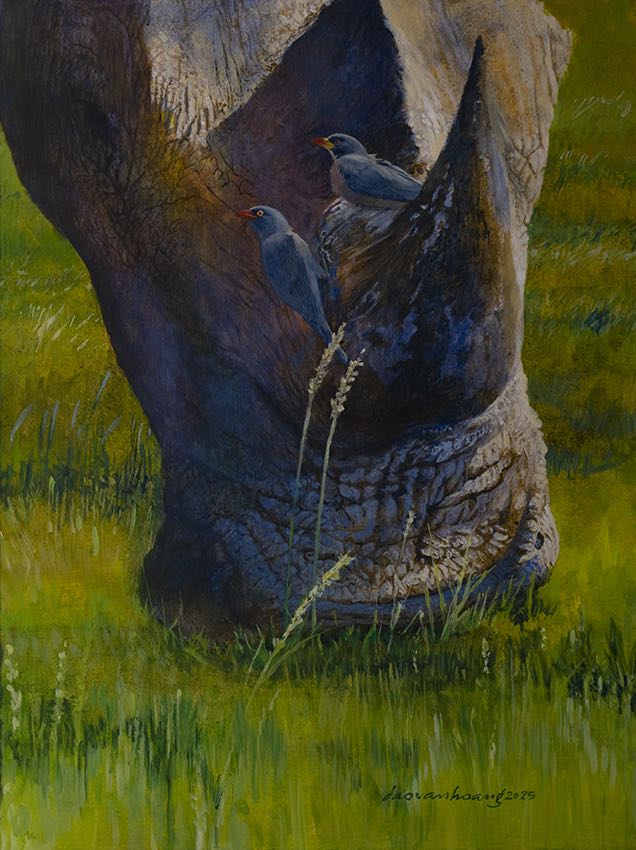 Landscape · White Rhino · South Africa