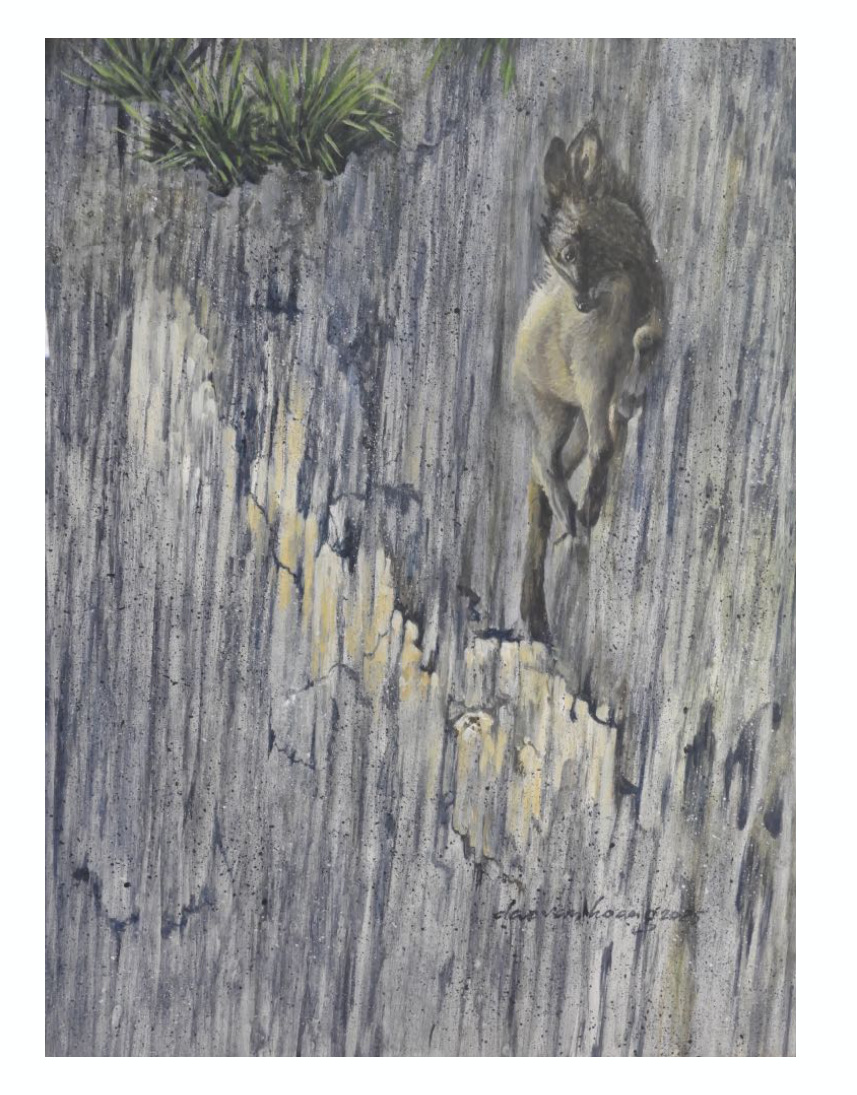 Cliff · Serow