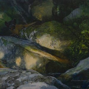 Chase Party, Yellow-throated Marten