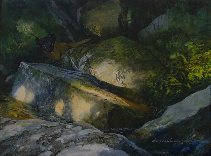 Chase Party · Yellow-throated Marten · Vietnam