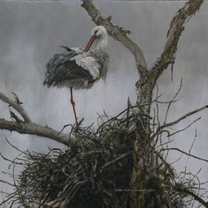 Spring, Stork