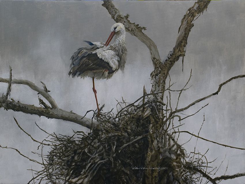 Spring · Stork