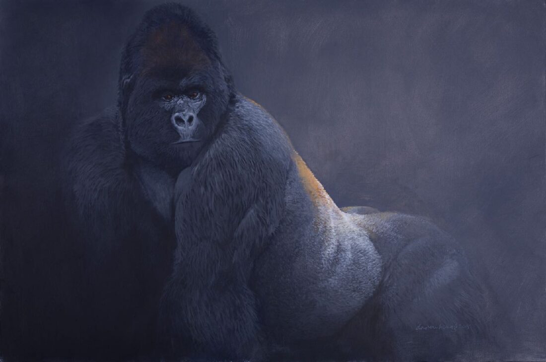 Golden Back · Mountain gorilla · United States