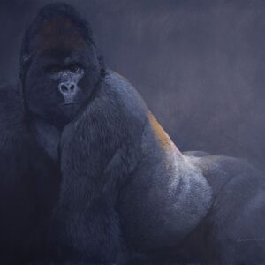 Golden Back, Mountain gorilla