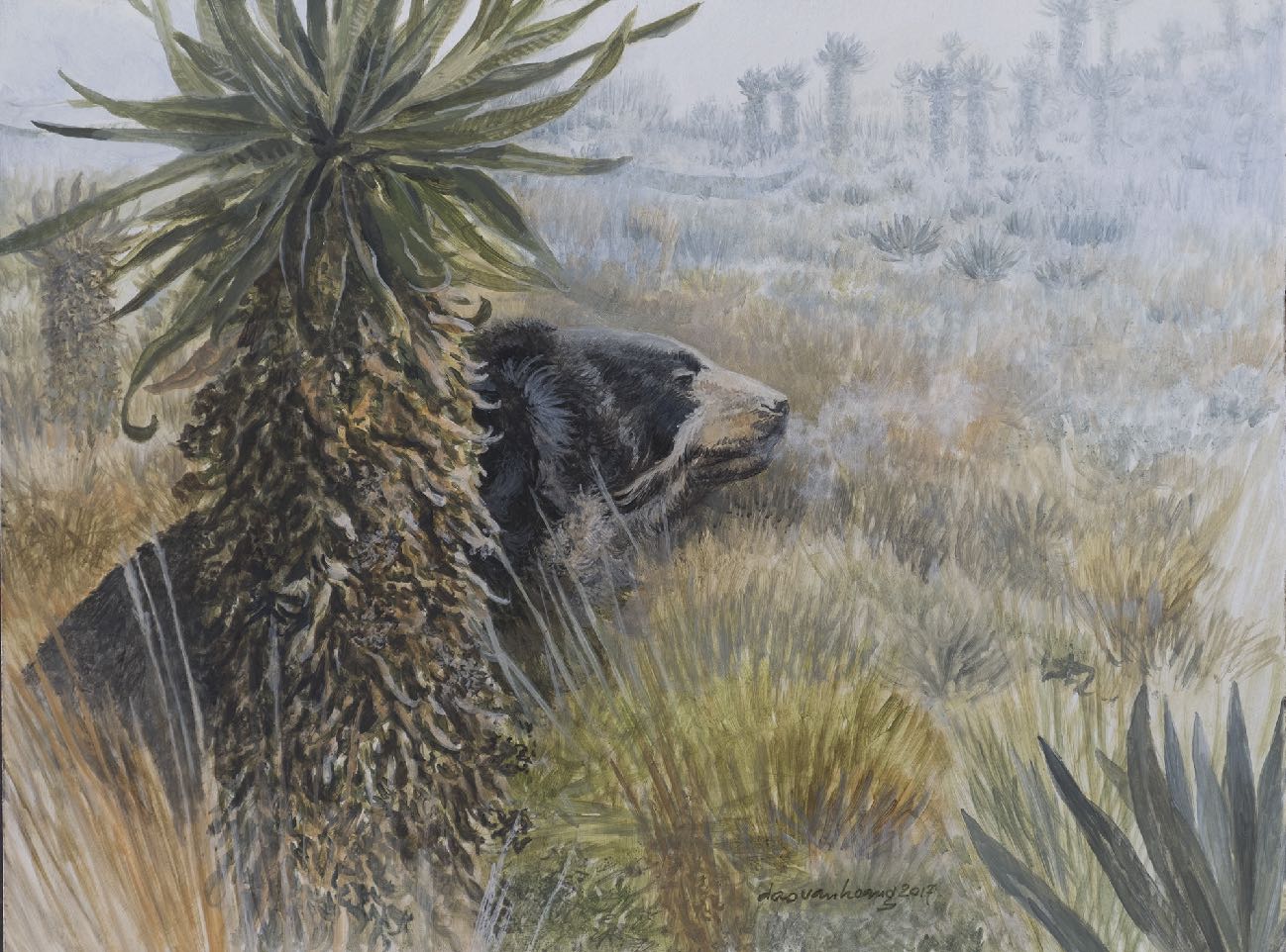 Paramo · Spectacle Bear · 80 × 60 cm · Acrylic on canvas