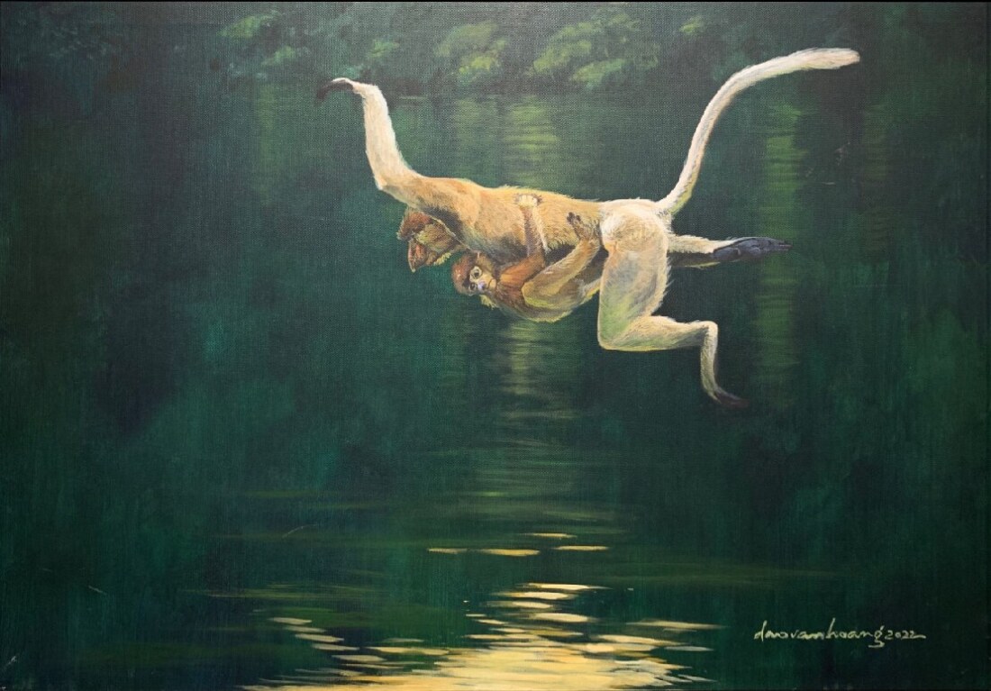 Reflection · Proboscis monkey · Malaysia