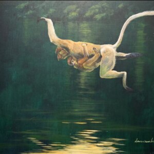 Reflection, Proboscis monkey