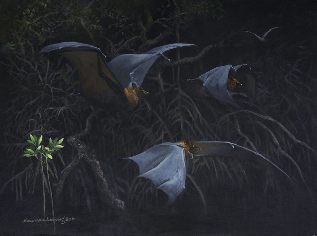 Squadron · Fruit Bat · Vietnam