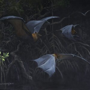 Squadron, Fruit Bat