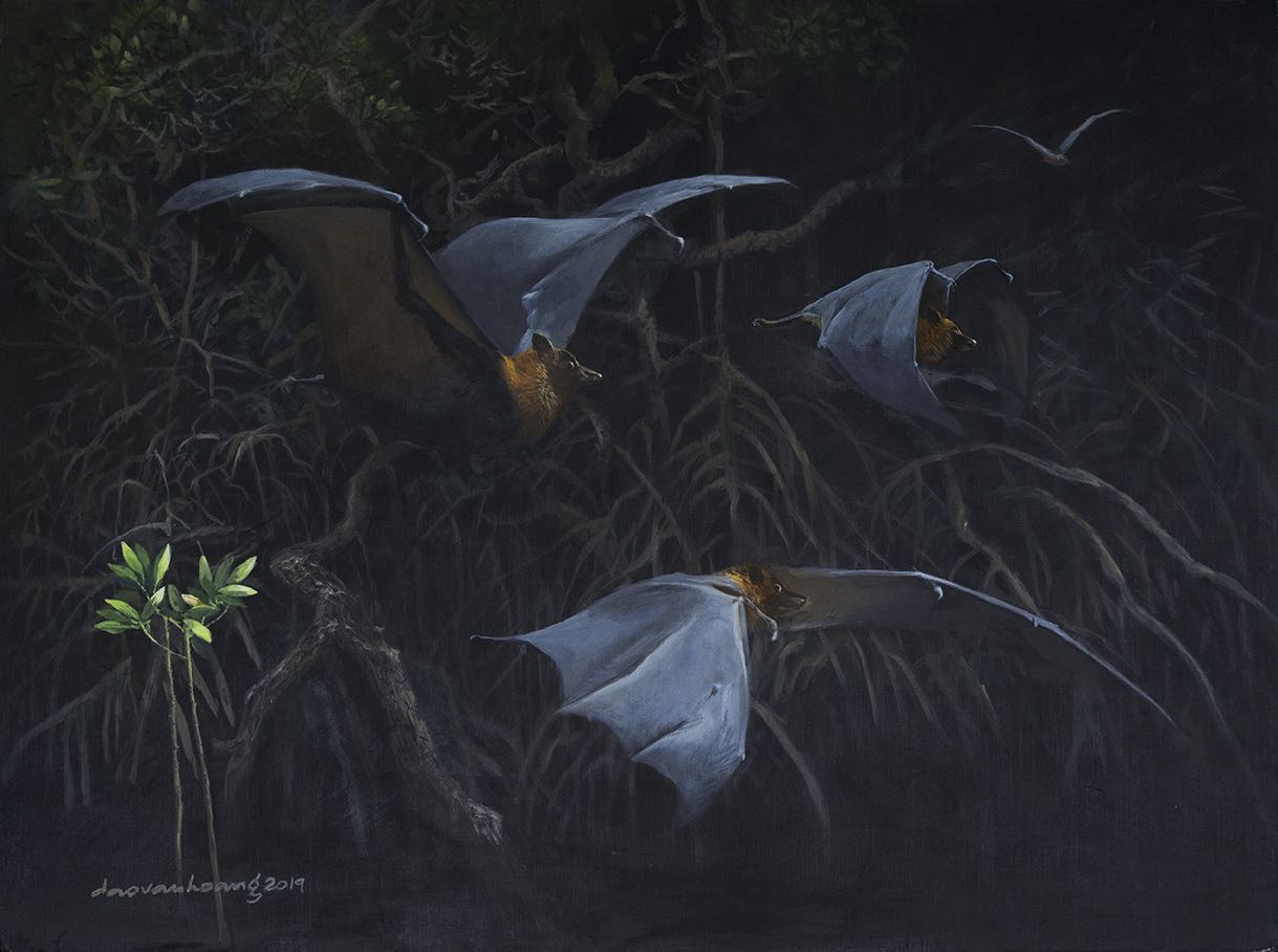 Squadron · Fruit Bat · Vietnam · 70 × 50 cm · Acrylic on canvas