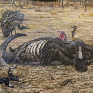 Social event, Vultures