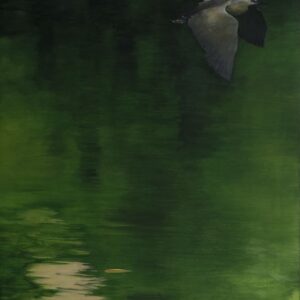 Like A Night Heron Wing, Night Heron