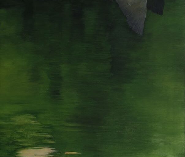 Like A Night Heron Wing