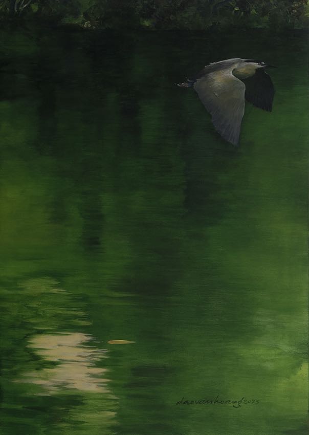 Like A Night Heron Wing · Night Heron · Vietnam