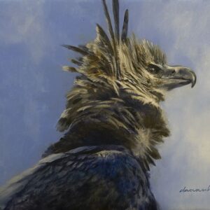 Lord Of The Sky, Harpy