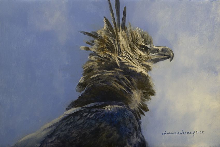 Lord Of The Sky · Harpy