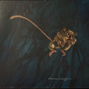 First jump, Tarsier