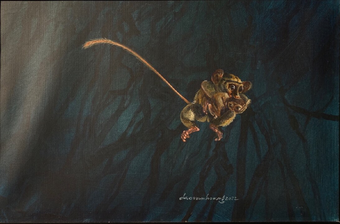 First jump · Tarsier · Indonesia