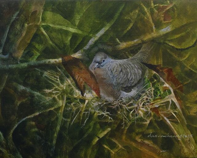 Nest