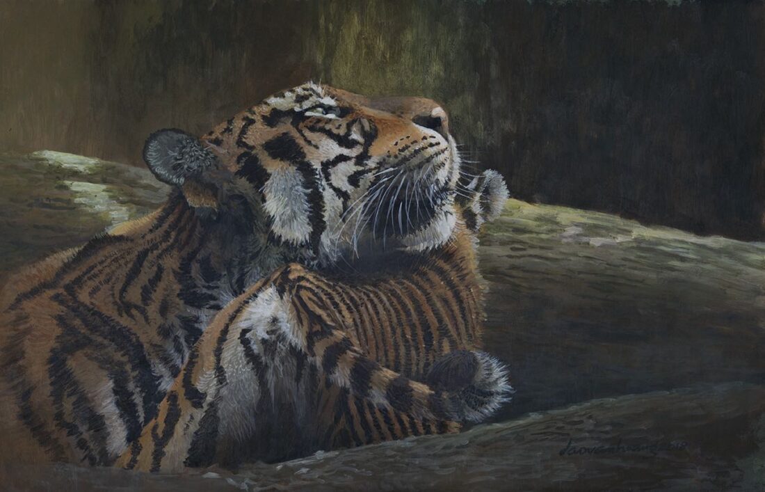 Mother Love · Indochinese tiger