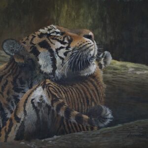 Mother Love, Indochinese tiger