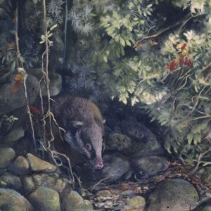 World of Flavours, Greater Hog Badger