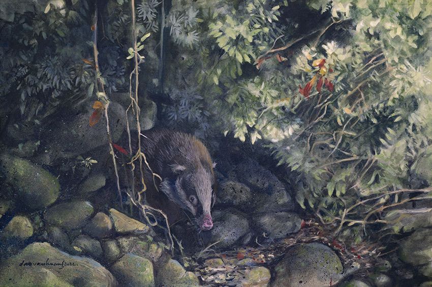 World of Flavours · Greater Hog Badger