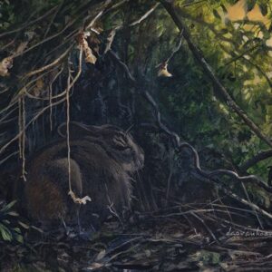 Waiting for Nightfall, Annamites’ Striped Rabbit