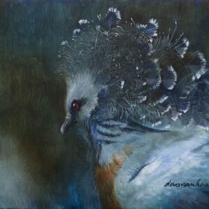 Crown, Crowned pigeon