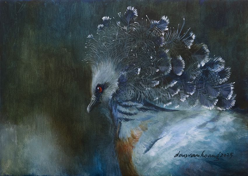 Crown · Crowned pigeon