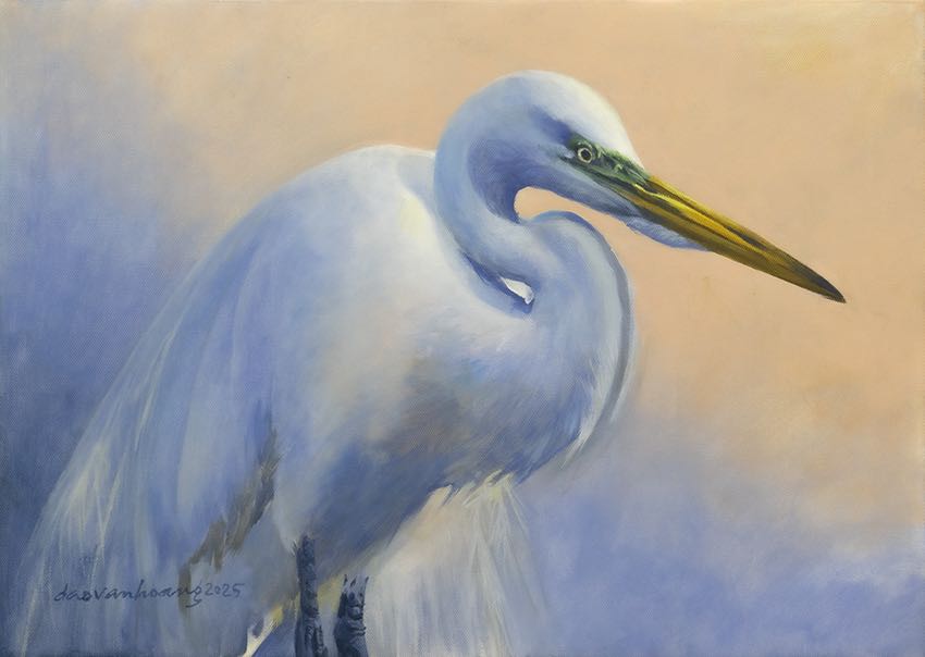 Grace · Egret