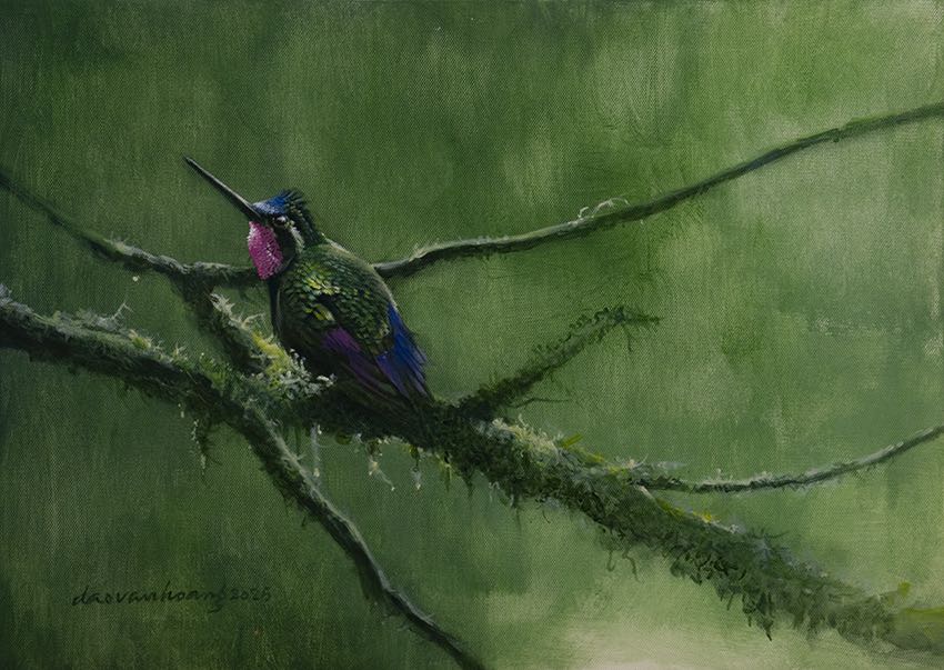 Morning Dew · Hummingbird
