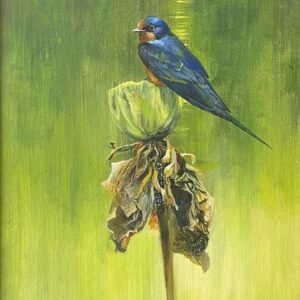 Bud, Swallow