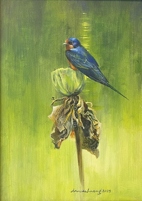 Bud · Swallow