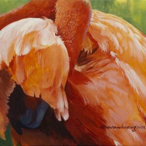 Caroteine, Flamingo
