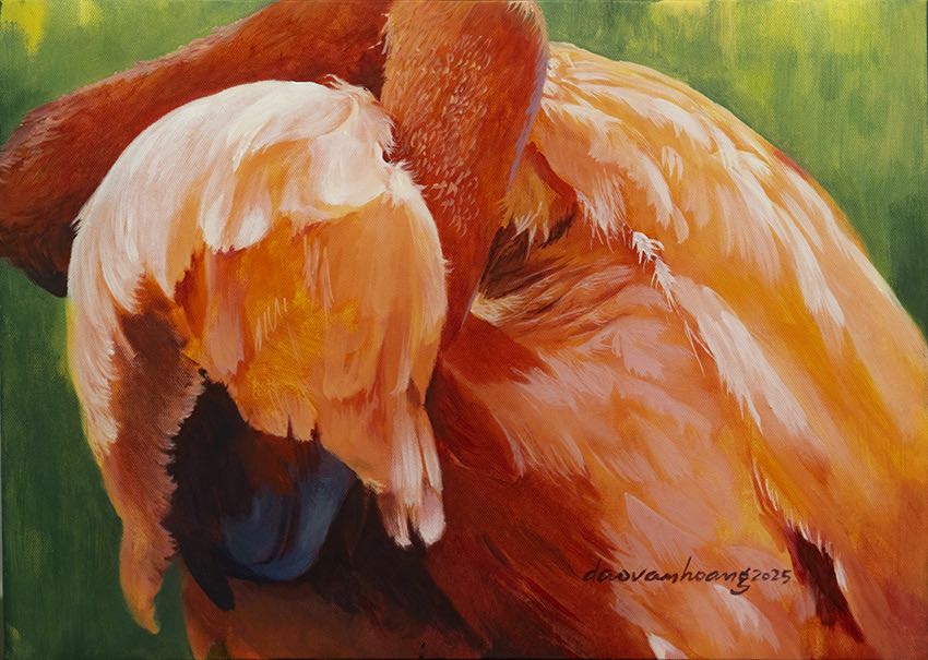 Caroteine · Flamingo