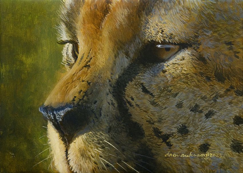Eyes Of The Savanna · Cheetah