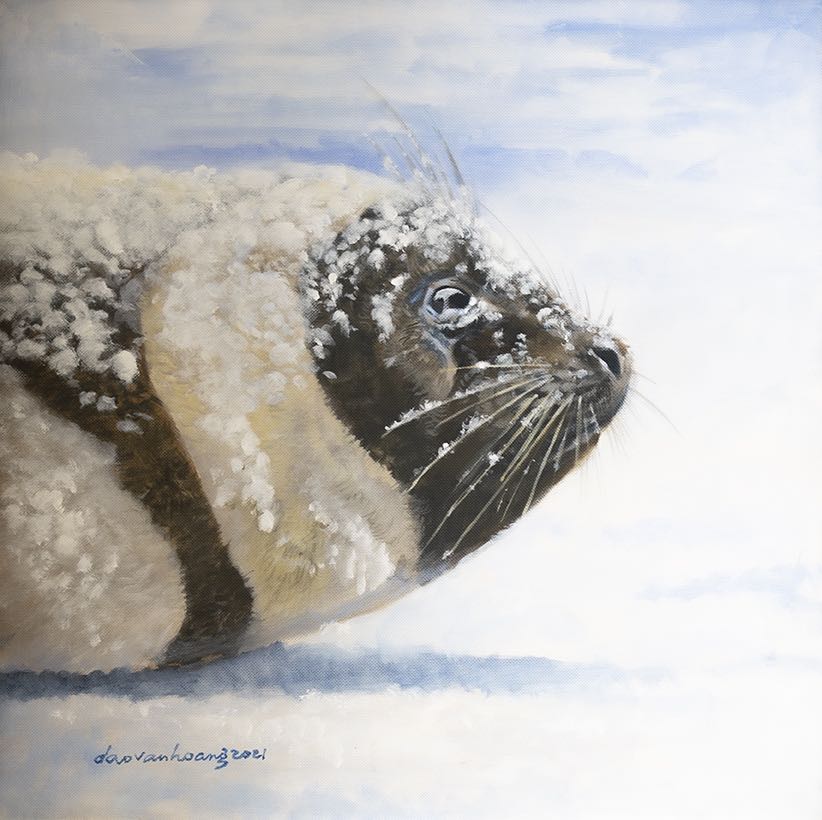 Icy Ribbon · Ribbon Seal