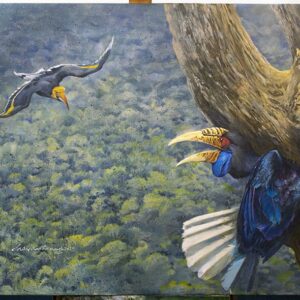 Threat, Hornbills