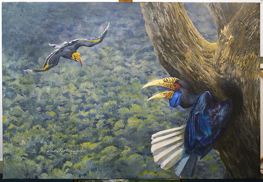 Threat · Hornbills