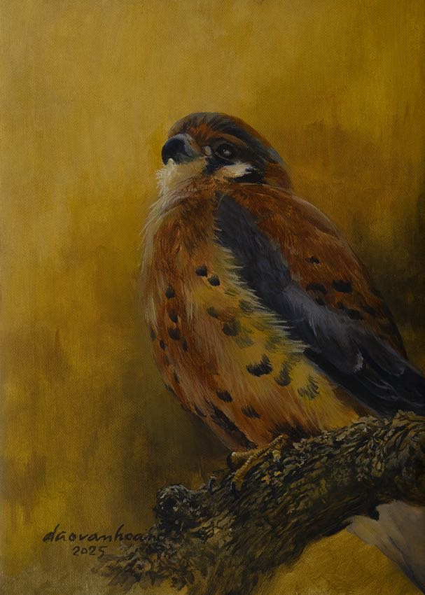Kestrel · Kestrel
