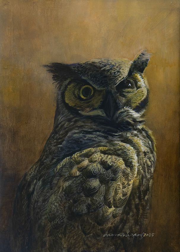 Yoda · Eagle Owl