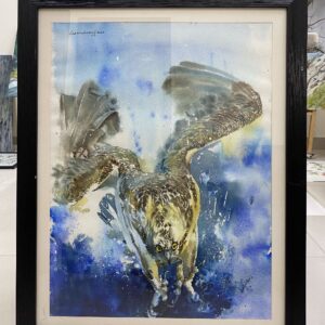 Splash, Osprey