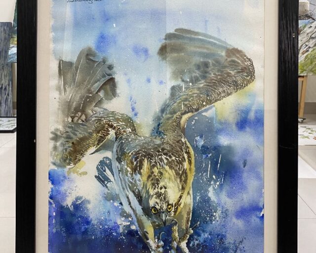Splash