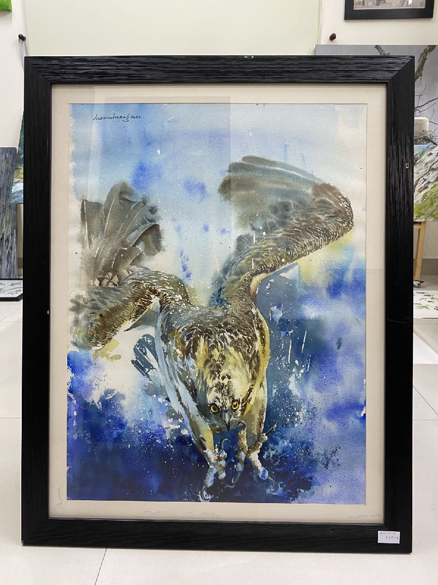 Splash · Osprey · Vietnam