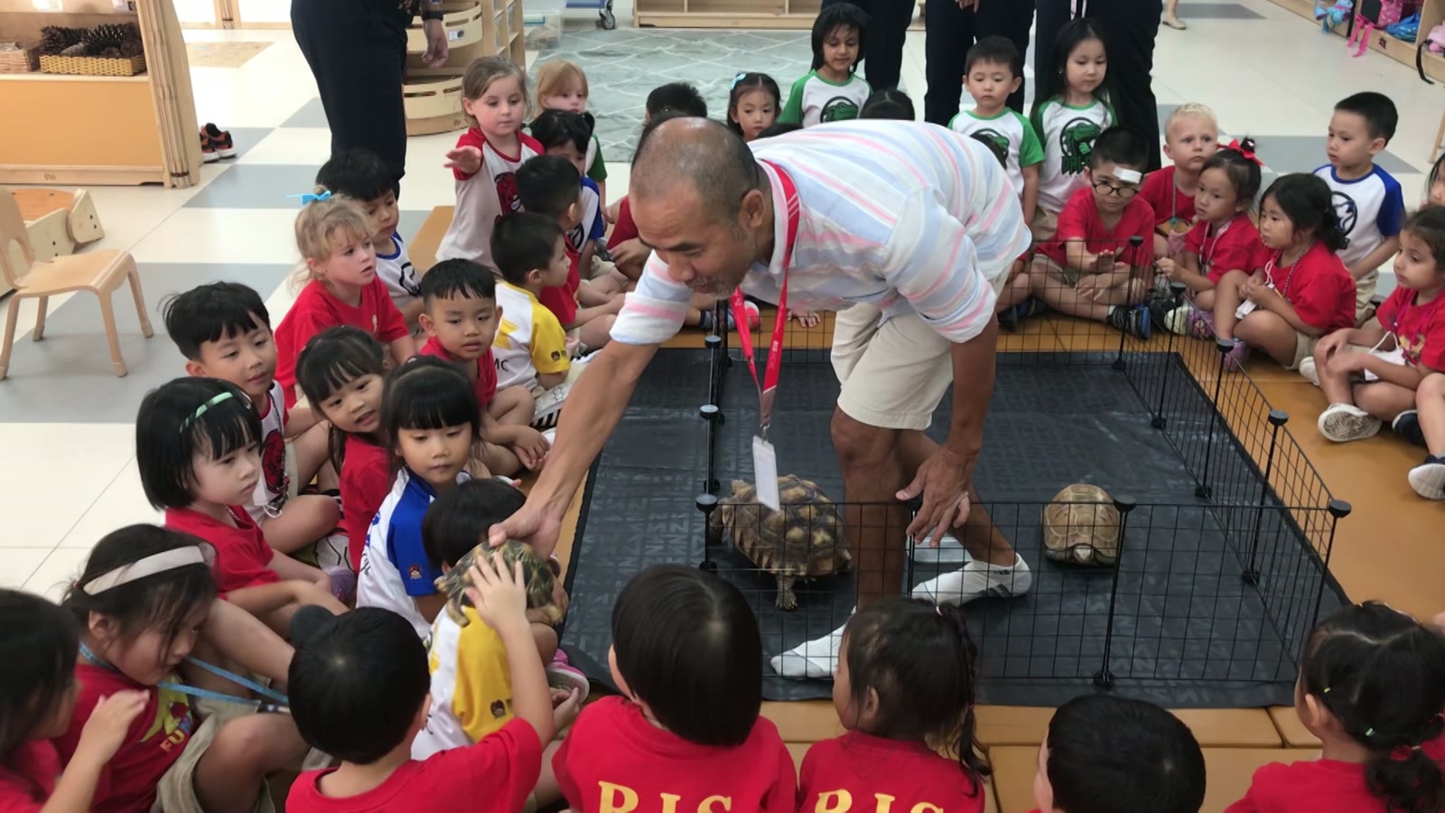 Live tortoises in a classroom, before any drawing begins