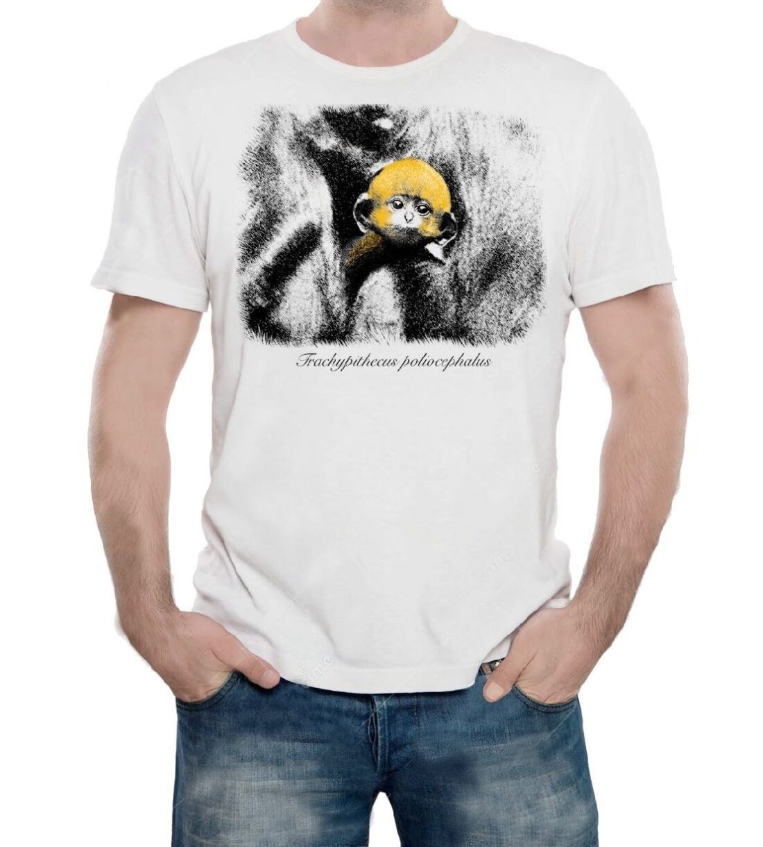 Douc langur, on cotton
