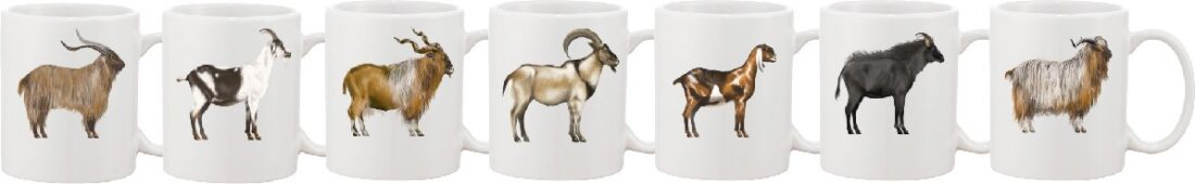 A mug for each species, with its name