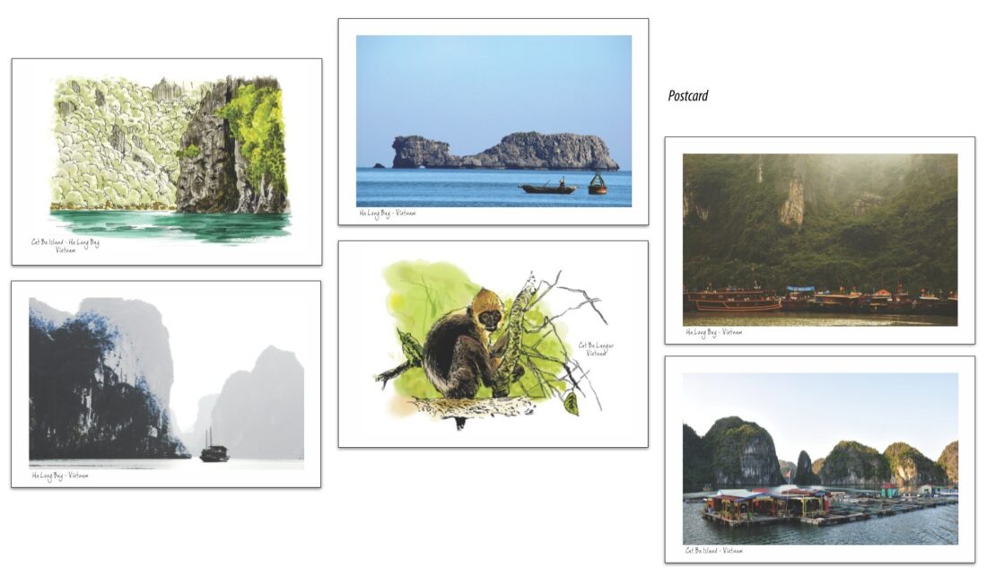 Postcards, watercolour and field photographs